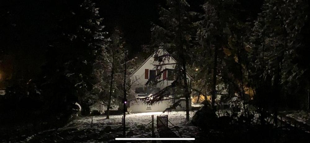 Landhaus Camillas Hoehe Mirbach エクステリア 写真